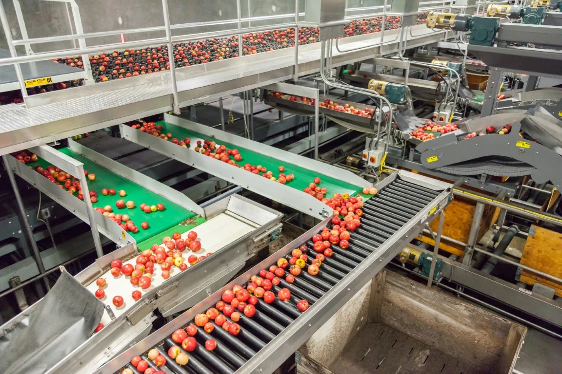 6 Reasons Why Your Food Processing Facility Needs Industrial Coatings